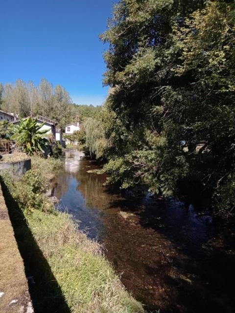 Maison Au Bord De La Riviere Dronne En Perigord Vert Saint-Front-la-Rivière Dış mekan fotoğraf